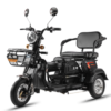TRIMOTO ELECTRICA TX1 1000W