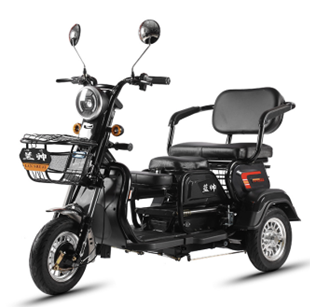 TRIMOTO ELECTRICA TX1 1000W